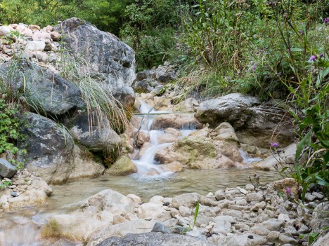 Le Ruisseau des Côtes