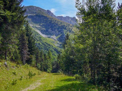 À travers le Clos de Lans