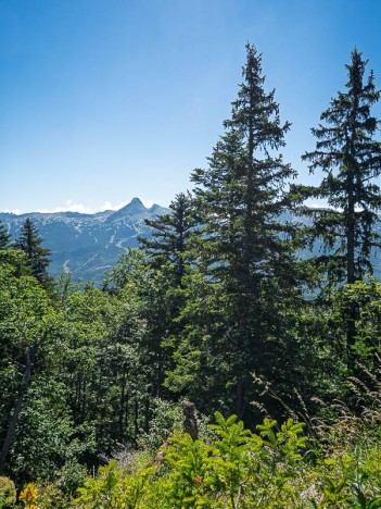 La Grande Moucherolle