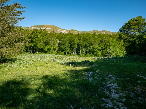 Le Serre de Montué, juin 2021