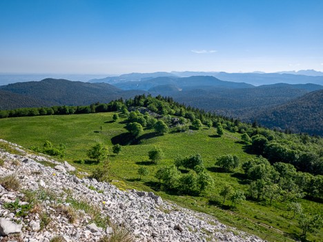 Paysage de la Source de Montué, juin 2021