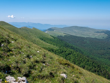 Le Plateau d'Ambel, juin 2021