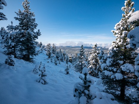 Approche de la Cabane du Serre du Play, nov. 2019