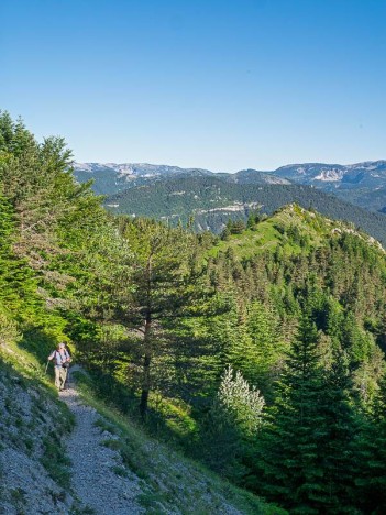 Sur le sentier des Têtes