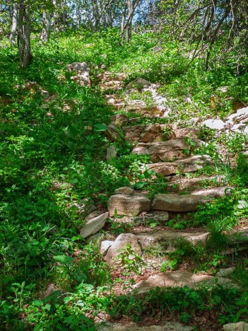 Un escalier aménag sur le sentier