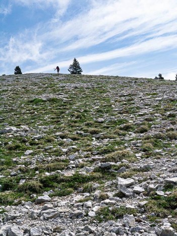 Sous le Sommet de la Montagnette