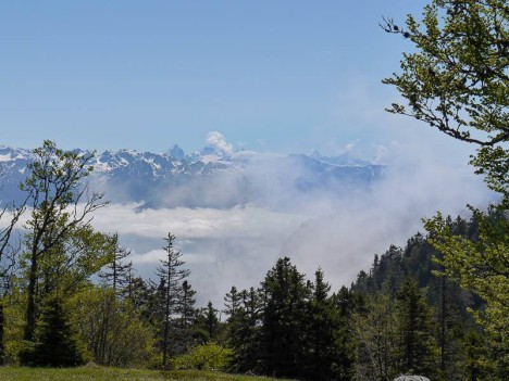 À l'horizon, la Meije, le Râteau et les glaciers du Mont de Lans, derrière Belledonne