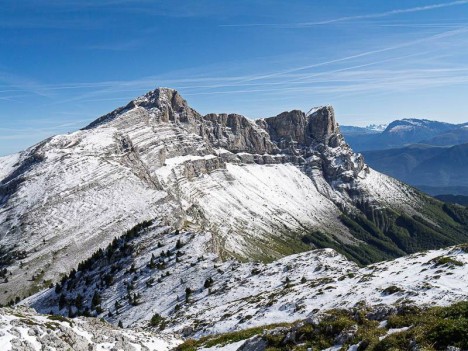 La Grande Moucherolle