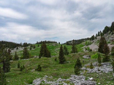 Tiolache-Haut