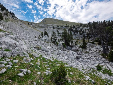 Descente du vallon de Malaval
