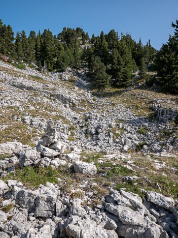 Tourte-Barreaux, sommet Sud 1837, sept. 2019