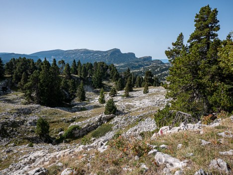 La Montagne du Glandasse, sept. 2019