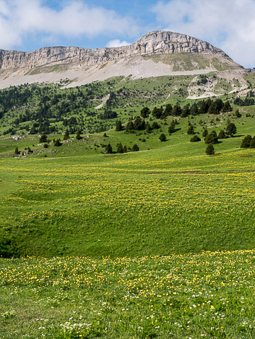 Sommet de la Montagnette