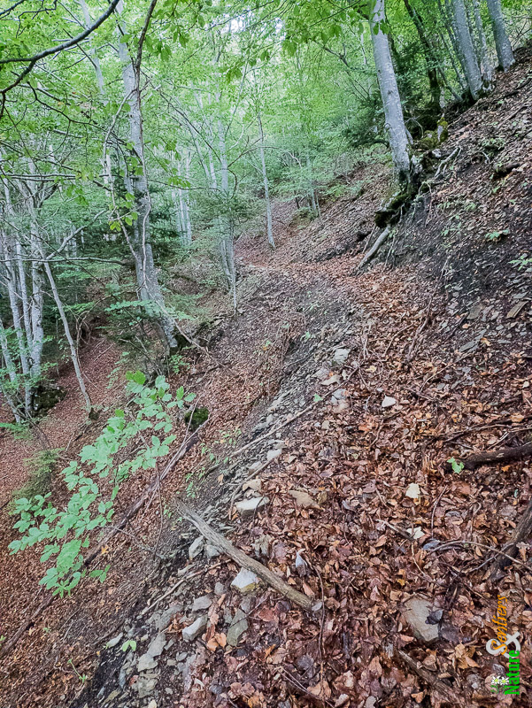 Sentier des Aiguilles