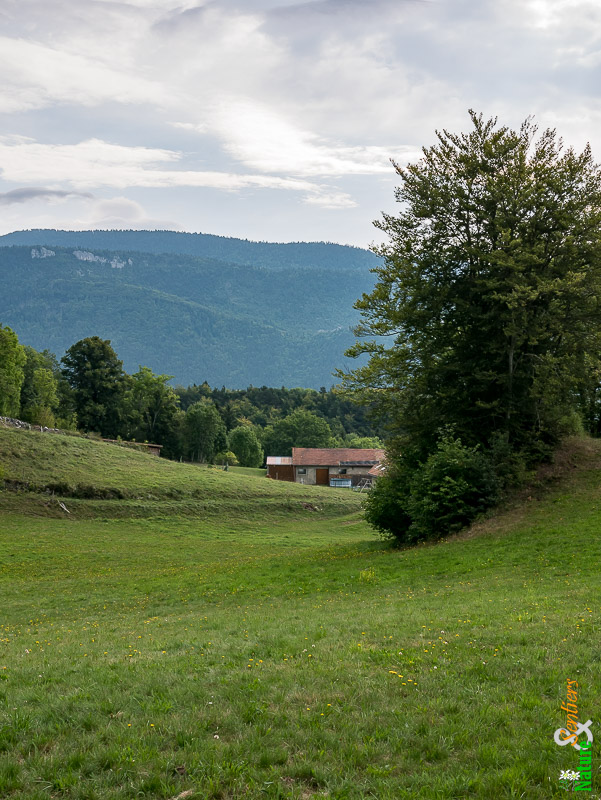 Le Bard, hameau de Saint-Martin-en-Vercors