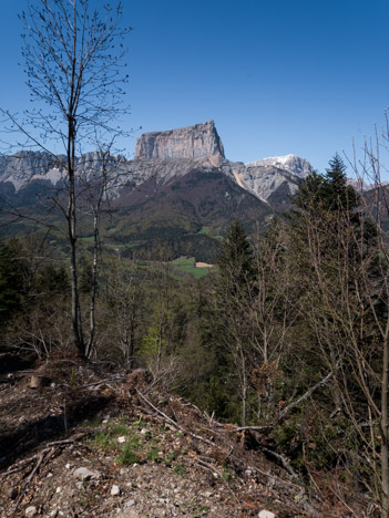 Dans le Bois du Trièves