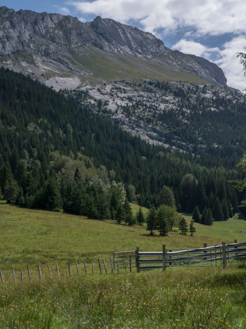 Vallon de la Fauge, les Crêtes du Gerbier