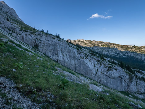 Dans la Combe Charbonnière