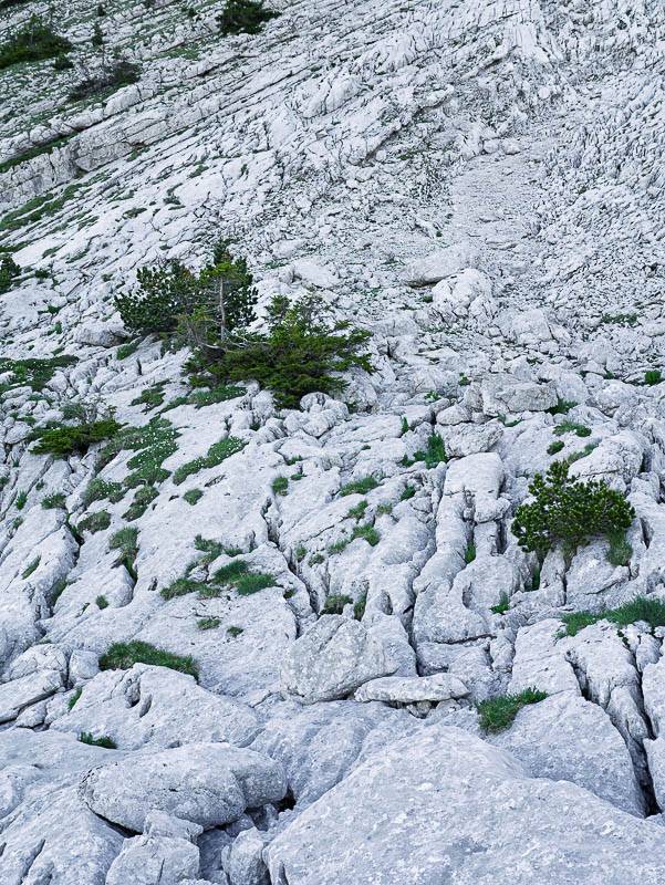 Le lapiaz de la Combe de Fer