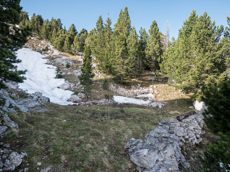 Terrasse de la Combe de Fer