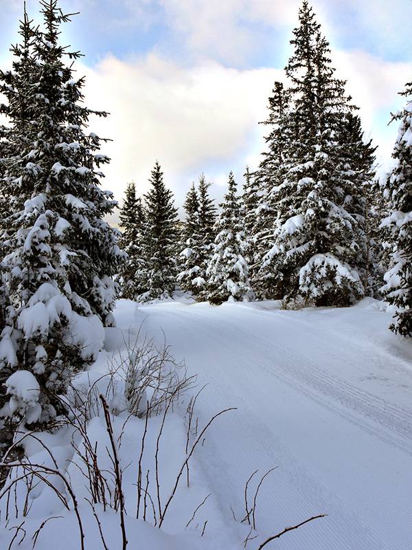 Piste damée en quittant Corrençon