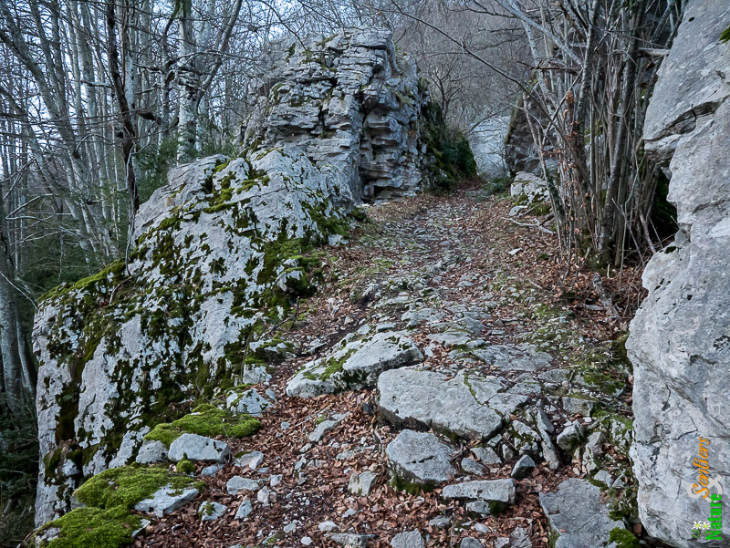 Sur le chemin du Ranc