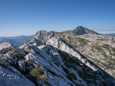 Les Deux Sœurs et la Grande Moucherolle