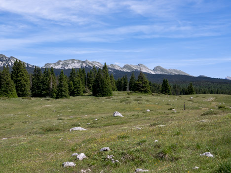 Crête orientale du Vercors