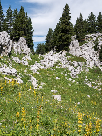 Sentier de la Grande Ruine