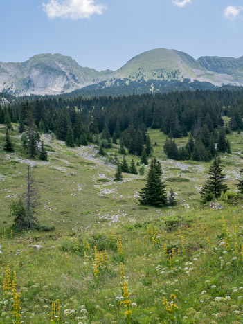 Au débouché dans la clairière de Tiolache