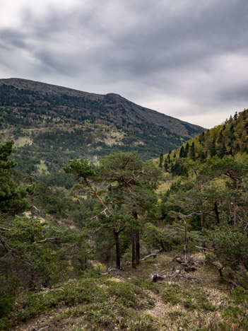 Sentier du Col des Pellas