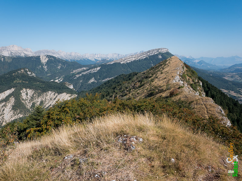 Résultat de recherche d'images pour