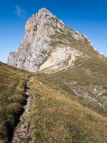 La Grande Moucherolle