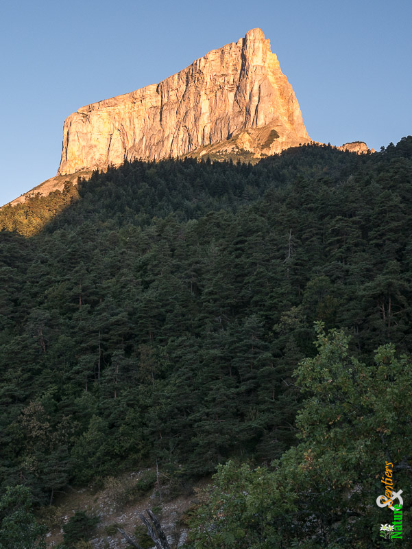 Le Mont Aiguiile