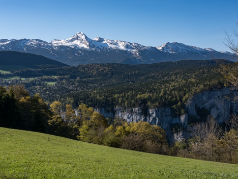 La Grande Moucherolle