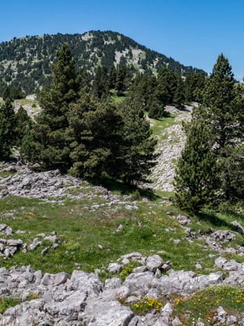 Le Sommet de Tourte Barreaux