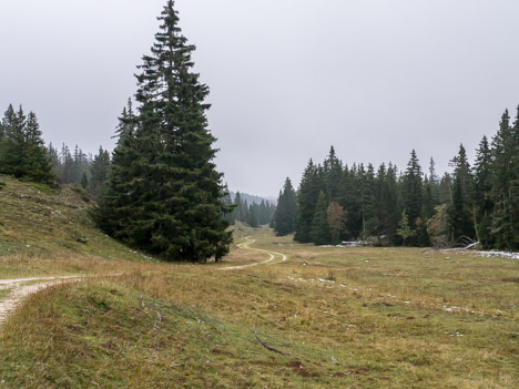 À travers le Pichet, route de Combau