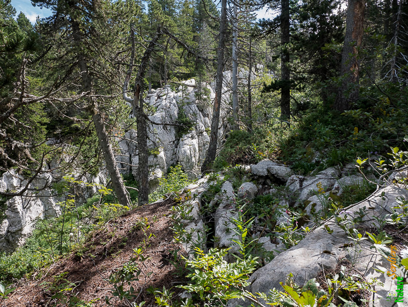 À travers le Purgatoire : canyon