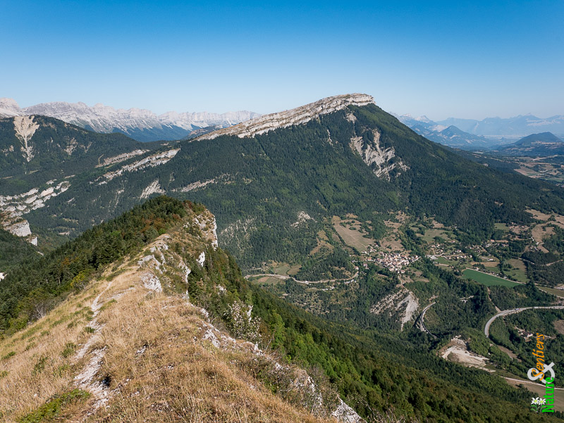 Résultat de recherche d'images pour