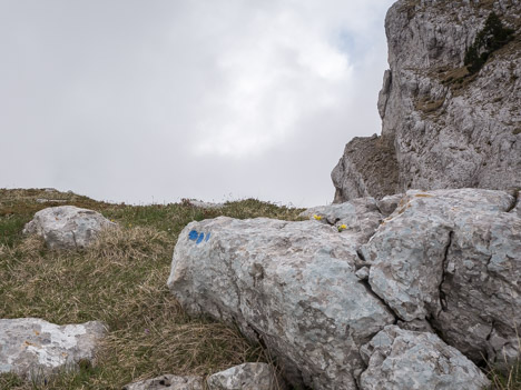 Balisage récent mais sauvage, sur la crête des Rochers de la Balme