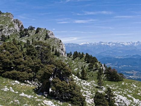 Point 1803 des Rochers du Parquet