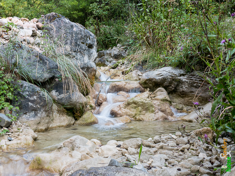 Le Ruisseau des Côtes